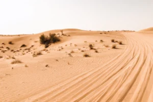 Read more about the article Czy zabraknie nam wody? Przystosowanie do zmian klimatu a woda