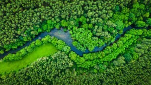 Read more about the article Renaturyzacja rzek a ochrona środowiska – dlaczego przywracanie naturalnych procesów wodnych staje się kluczowe w planowaniu inwestycji?