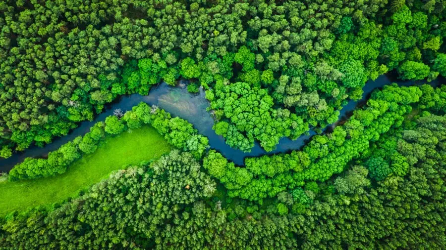 You are currently viewing Renaturyzacja rzek a ochrona środowiska – dlaczego przywracanie naturalnych procesów wodnych staje się kluczowe w planowaniu inwestycji?