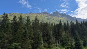 tatry