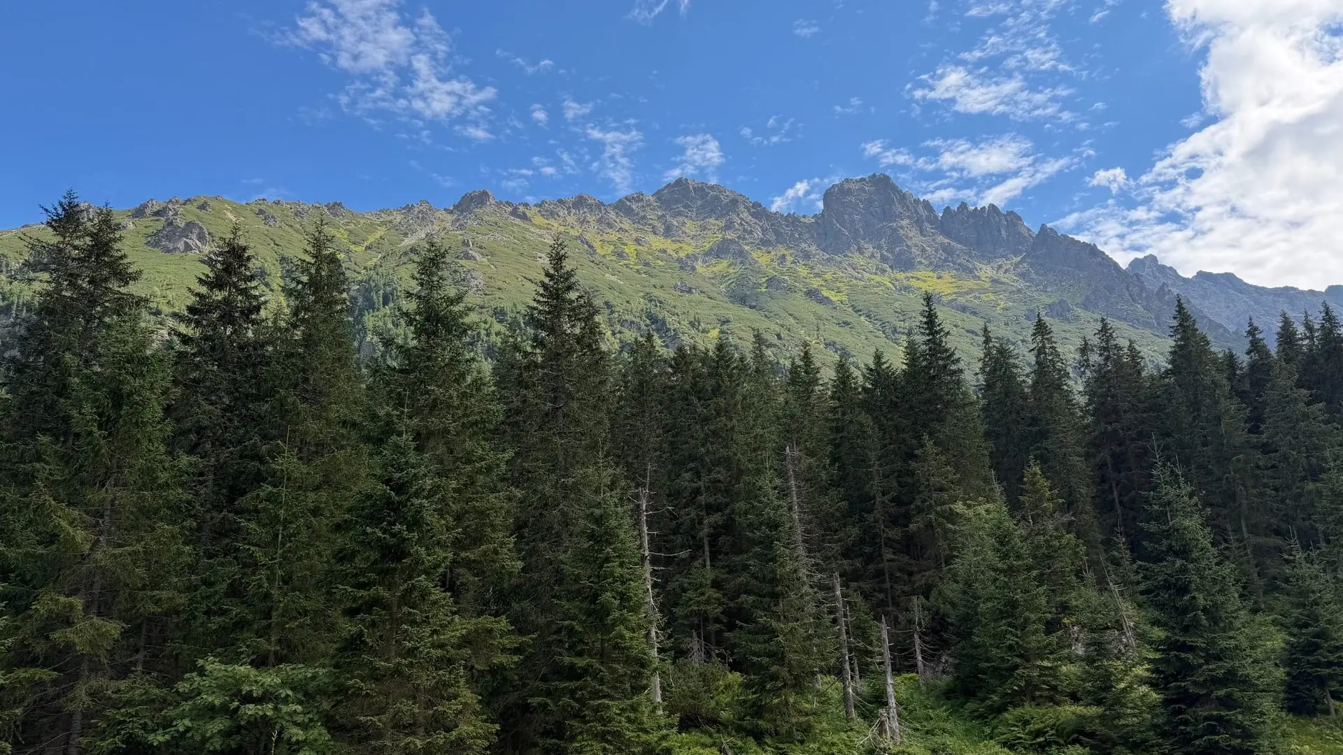 tatry